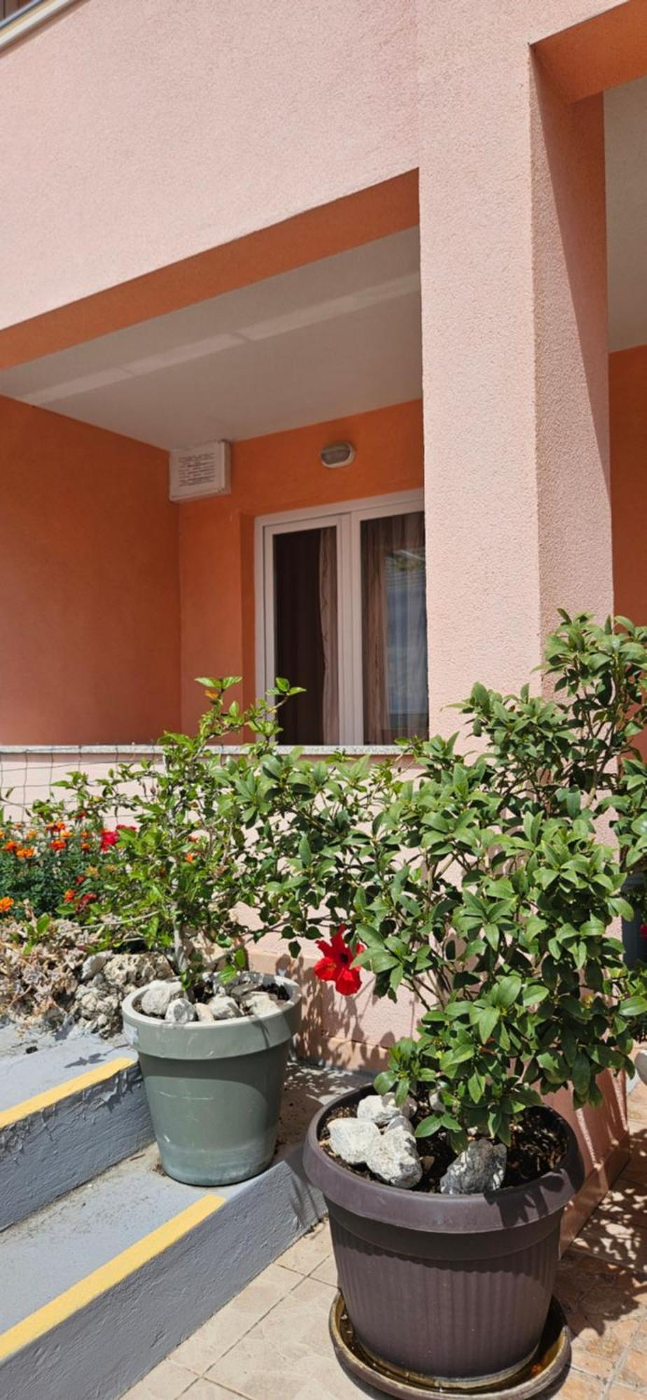 Apartmani Milena-Miki Makarska Exterior foto